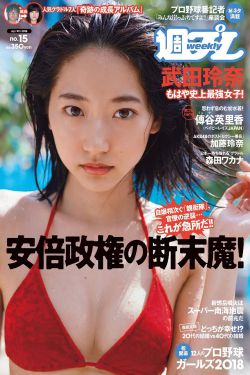 青龙珠